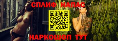 мдпв Татарск