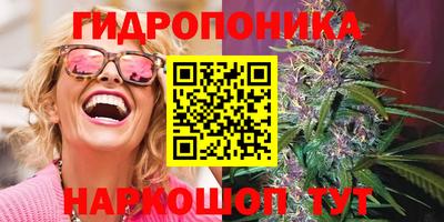 стафф Тверь