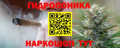 стафф Тверь
