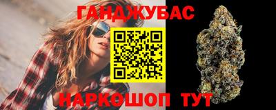 мдпв Татарск
